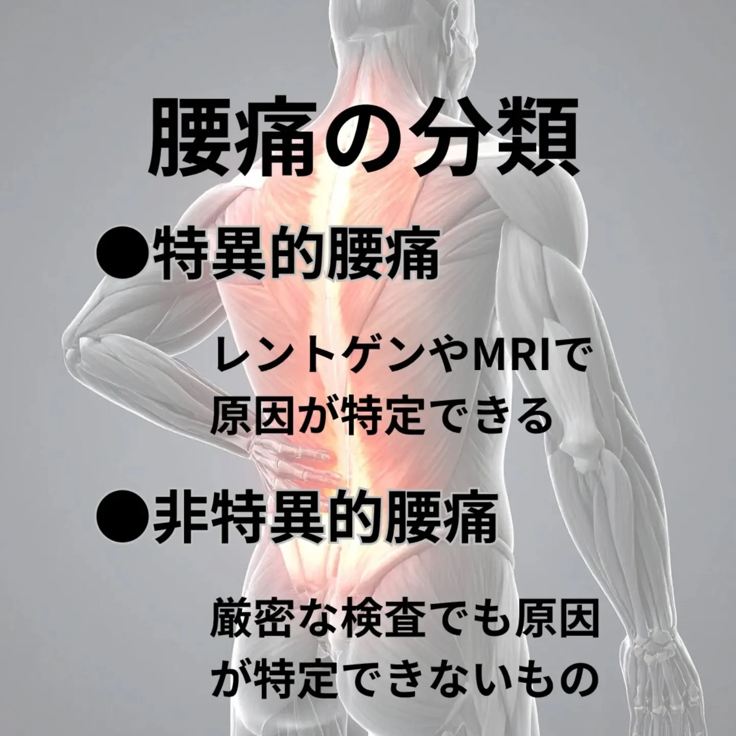 東京都豊島区目白、雑司が谷駅徒歩2分の「リスタート整骨院」で...