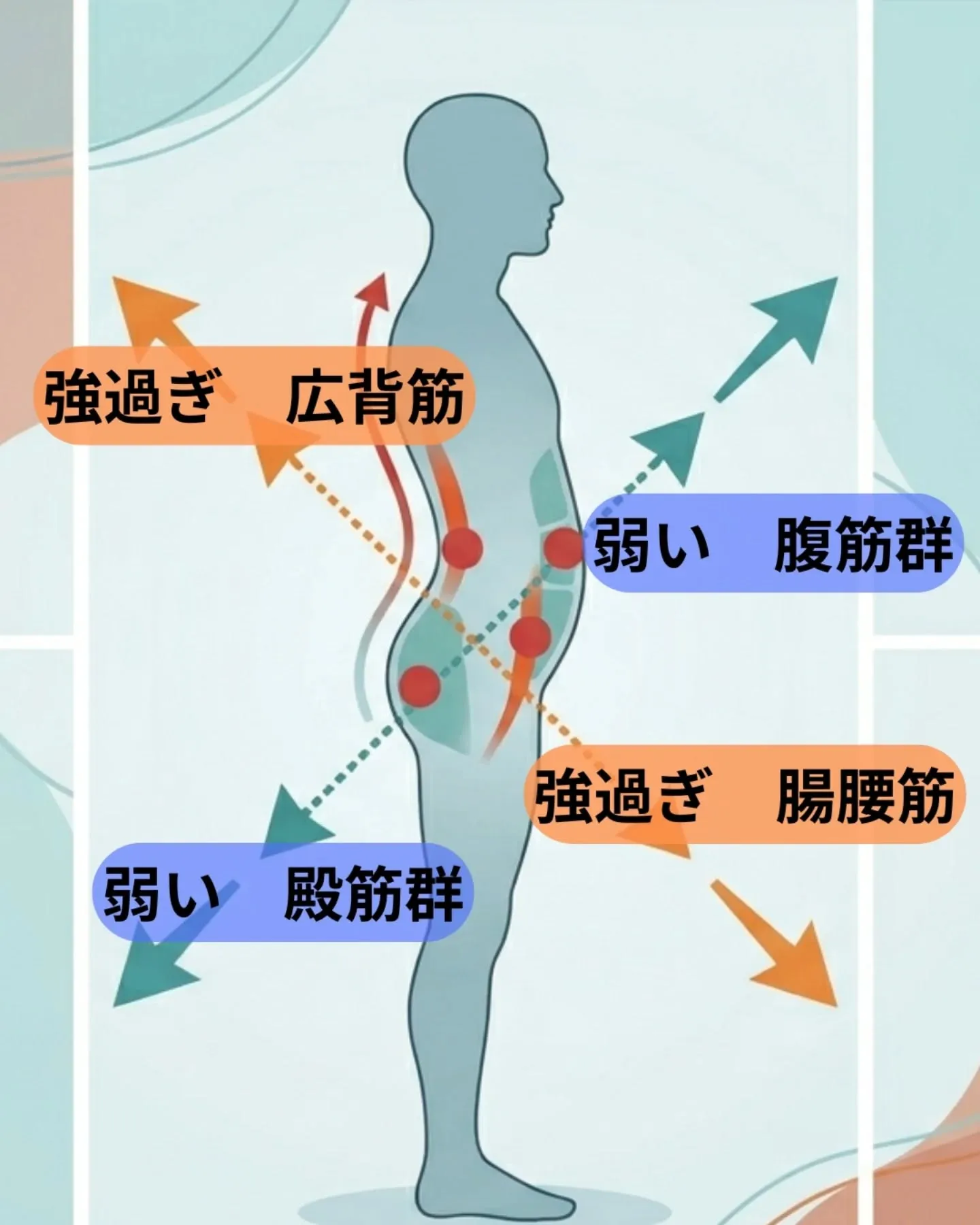 腰痛の根本原因は、、、筋肉の不均衡による姿勢不良かも！