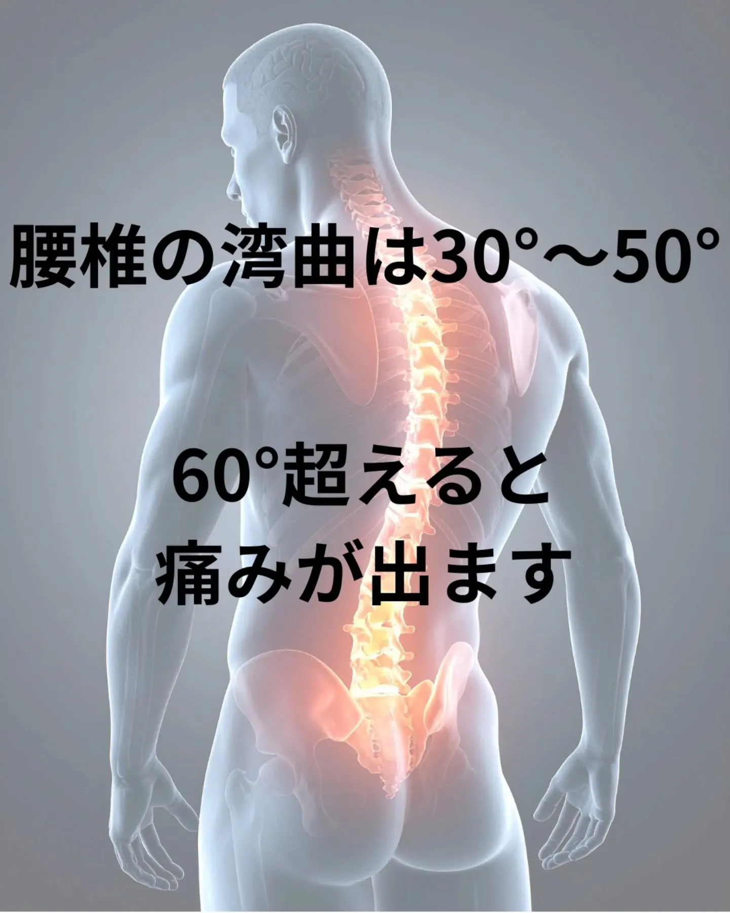 腰痛の根本原因は、、、筋肉の不均衡による姿勢不良かも！