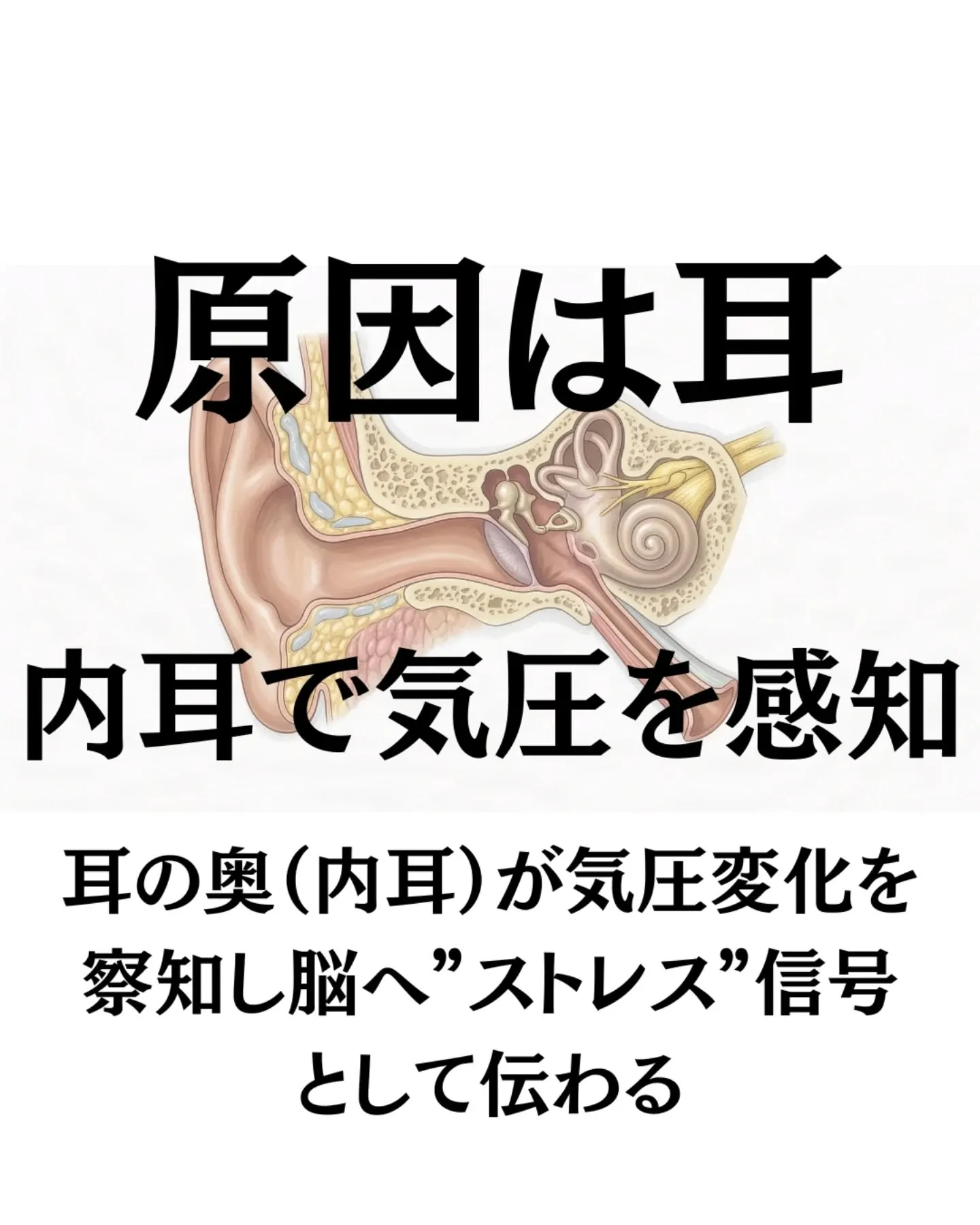 季節のかわり目の体調不良、それ天気痛かも