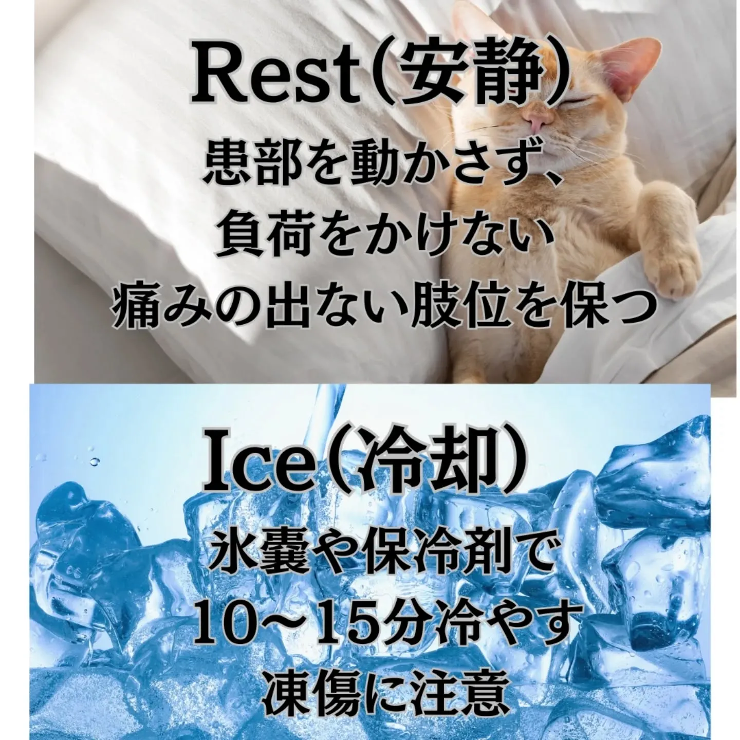 【ケガの鉄則】回復を早める「RICE処置」の基本