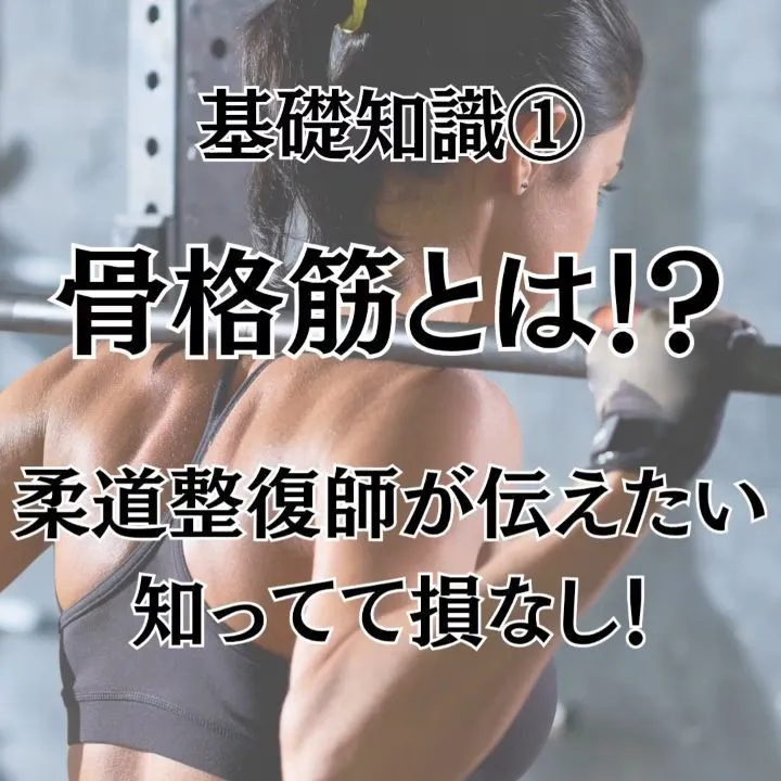 今回のテーマは、私たちの身体を動かす根本である骨格筋について...