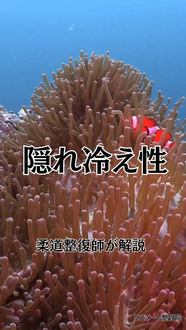 ​手足の冷たさを自覚していないのに、実は血流低下や自律神経の...